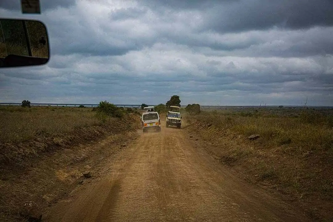 game drive cars